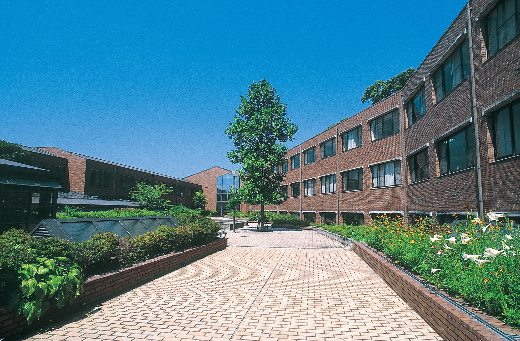 京都橘高等学校 私立中学 高校へ行こう 関西の私立中学 高校を目指す受験生 保護者を応援する中高進学 入試説明会最新情報